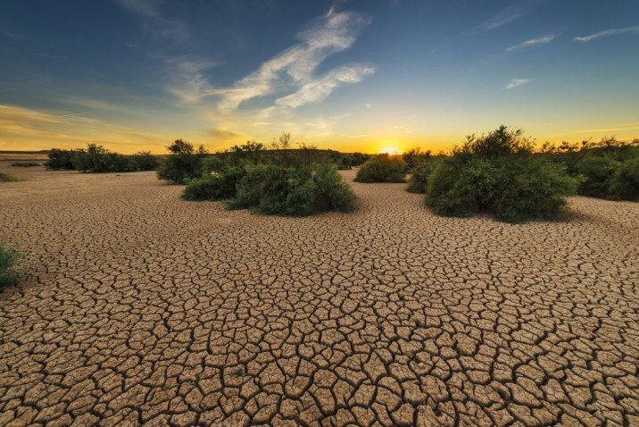 Día de Lucha contra la Desertificación y la Sequía