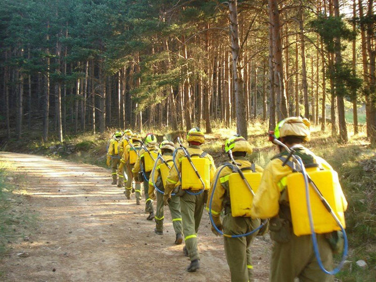 Día Mundial de los Guardas Forestales